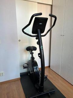 Oasis by the river in Martti - 2