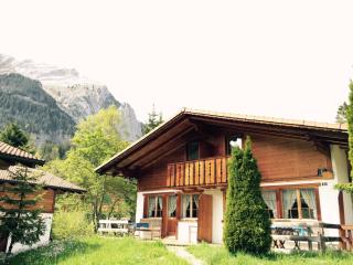 Alpen Chalet - Kandersteg - 4