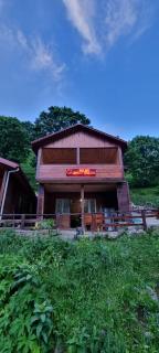 Aslan Apart Evleri - 9