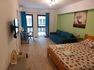 Studio Moghioros rezidence 2 - Bucarest - 7