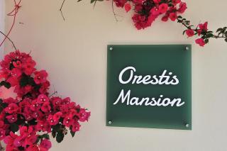 Orestis Mansion Skiathos - Città di Skiathos - 9