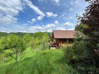 Căsuța din pădure - Piatra Neamţ - 5