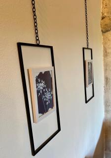 Lucky Home - Apartment Art Grožnjan - 1