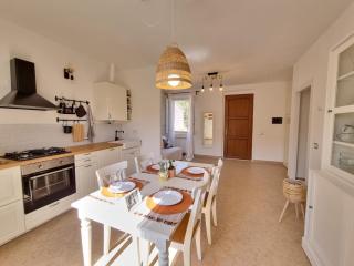 Sea ​​& Olive trees - 2