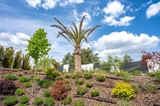 Palmowe Wzgórze Skoszewo - Domek Górny - 7