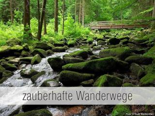 Hütte40: Ganze Hütte nah am See mit privatem Whirlpool, Sauna. Umzäunt. - Waldkirchen - 8