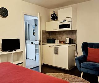 Apartmán Zlatý kříž - Písek - 7