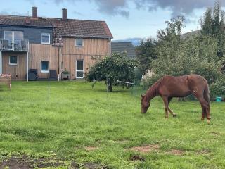 Urlaub auf dem Land - Triepkendorf - 9