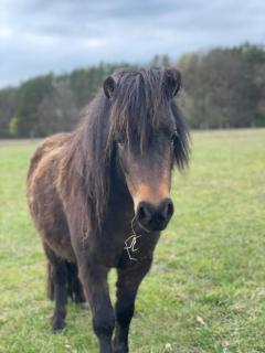 Urlaub auf dem Land - 1