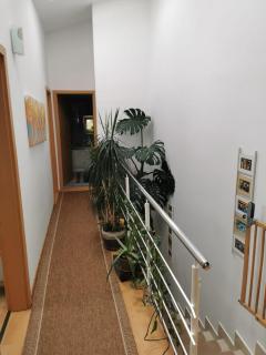 Harmony Haven - Spacious 4BR House with Free Parking - 1