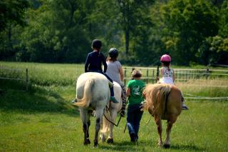 Family Ranch Urlaub am Pferdehof - - 8