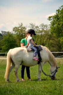 Family Ranch Urlaub am Pferdehof - - 6