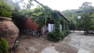Los rosales - Burunchel - 3