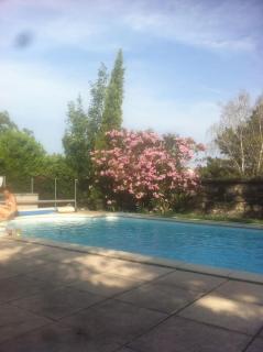 Ardèche, studio indépendant dans jardin - Chomérac - 7