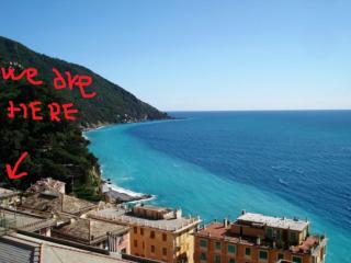 Camogli Sea - 0