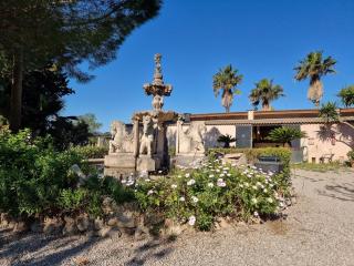 Finca Caballo Blanco - 2
