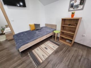 Apartmaji Ribic - Ljubno - 5