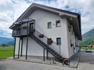 Apartmaji Ribic - Ljubno - 3