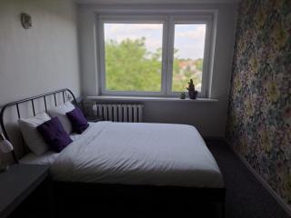 Butas Anykščiuose šeimoms - 2