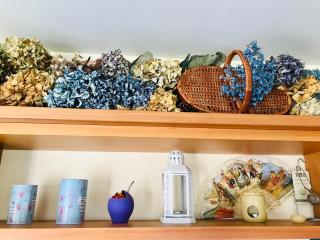 Suite abierta todo el año con vistas al campo, lago y ciudad - 1