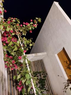 Statera Host - Alto Paraíso de Goiás - 6