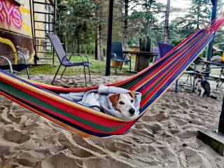 Przyczepy VIP - Ośrodek na Klifie Village - Hel Helska 11 - 5