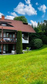 Michels Apartment - Titisee-Neustadt - 0