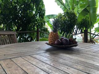 Mango Bungalow - Le Bois de Nèfles - 6