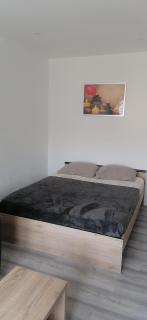 Appartement avec balcon et parking privé - Roanne - 1
