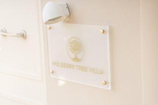 Mulberry tree villa - Agios Nikolaos - 6