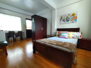 Terrazas de Miguel Apartment - Iriga - 6