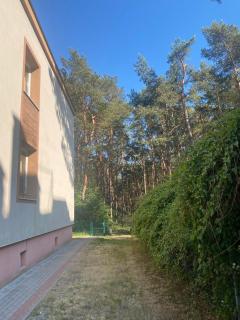 Jurata, Ratibora, przy lesie - 4