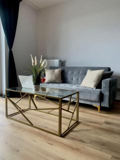 Apartment on Drewnowska Street Manufaktura - Łódź - 6