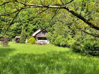 Cottage by the river Valea Draganului - Poeni - 4
