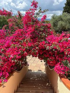 Casa Vacanze La Brii - Iglesias - 0