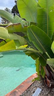 Ocean, surf, Golf private villa with pool near lagoon - Casal do Narcizo - 3
