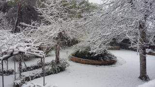 El Sester - Torremanzanas - 1