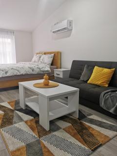 Studio apartmani Banja Koviljaca - 1