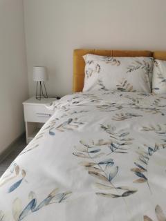 Studio apartmani Banja Koviljaca - Banja Koviljača - 1