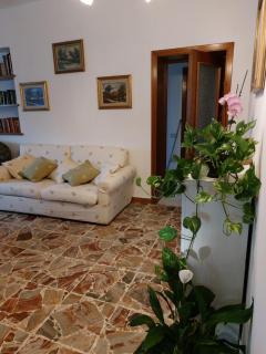 Conny's Green House - 1