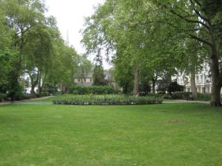 Pimlico Riverside- Amazing 1 bed - 8
