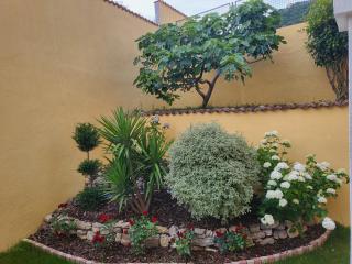 Apartmani Niksic - Herceg Novi - 4