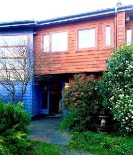 Casa Familiar con Vista al campo y al lago - Puerto Varas - 0