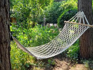 Oud-Turnhout Nature Chalet - 7