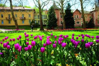 Apartment in Heviz - Balaton 44881 - Hévíz - 4