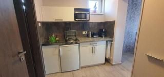 Apartments in Heviz - Balaton 44880 - Hévíz - 2