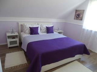 Holiday home in Zalakaros 44897 - Zalakaros - 0