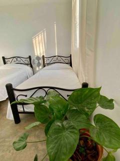 La casita de Moni - Santa Cruz Huatulco - 8