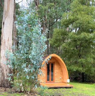 Beechworth Holiday Park - Beechworth - 6