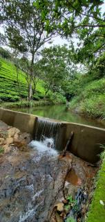 Idam Resort - Vagamon - 2